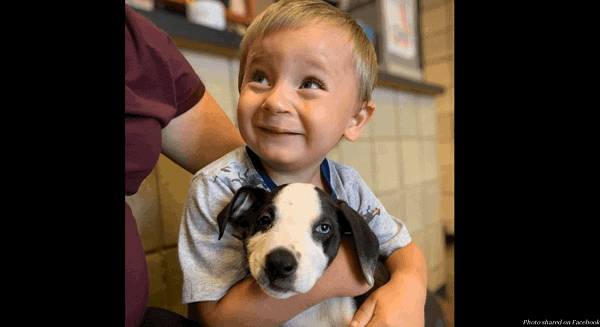 adorable toddler cleft lip adopts puppy condition 01 1