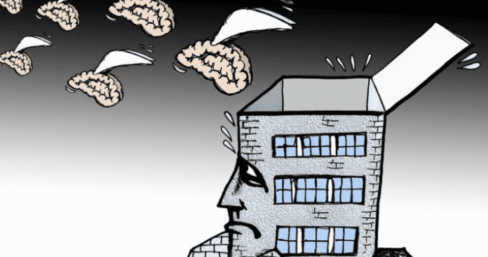 brain drain 01