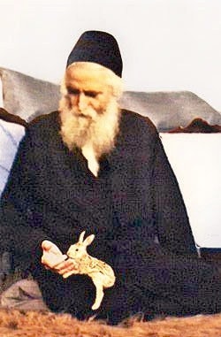 agios paisios 55